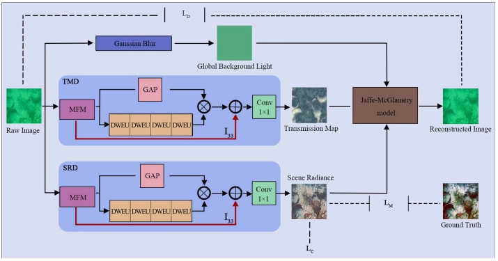 Underwater image with its enhancement version